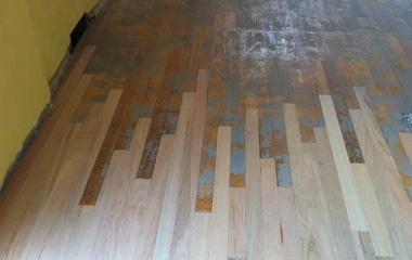 wood floor water damage pet stained re-transition